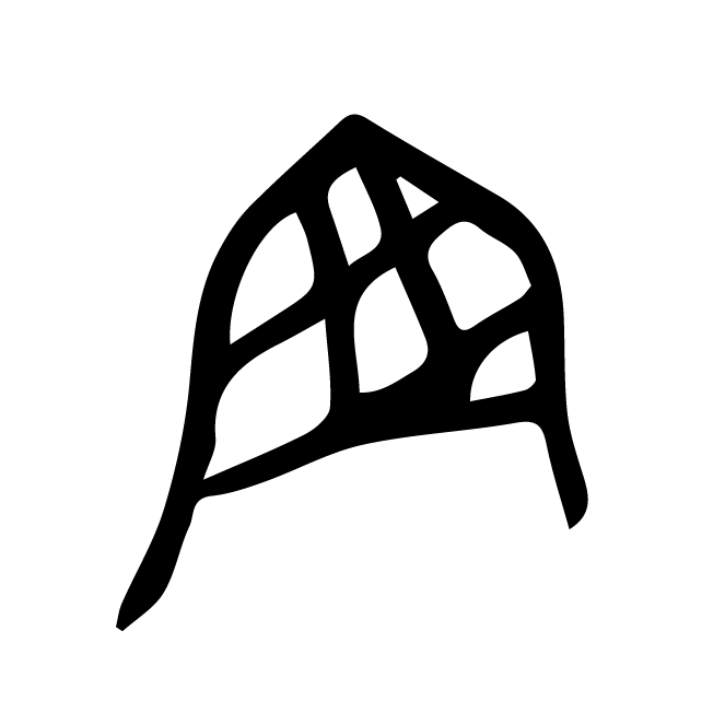 丁再献的骨刻文