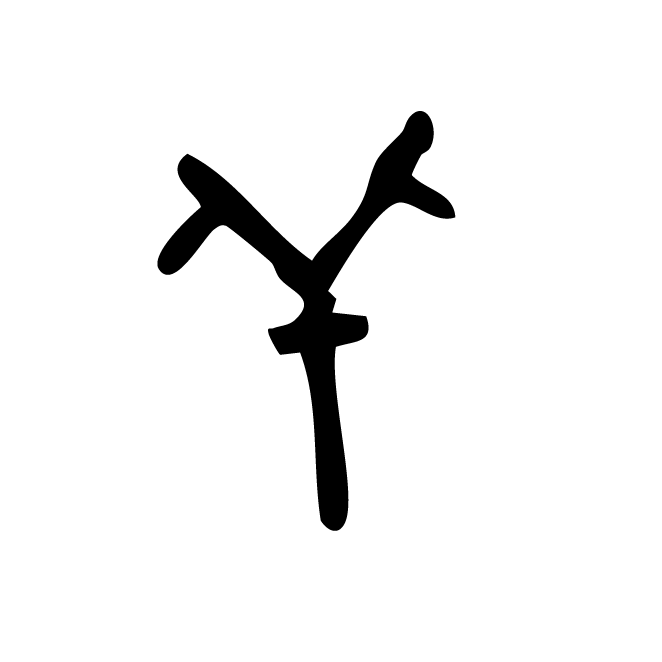 丁再献的骨刻文