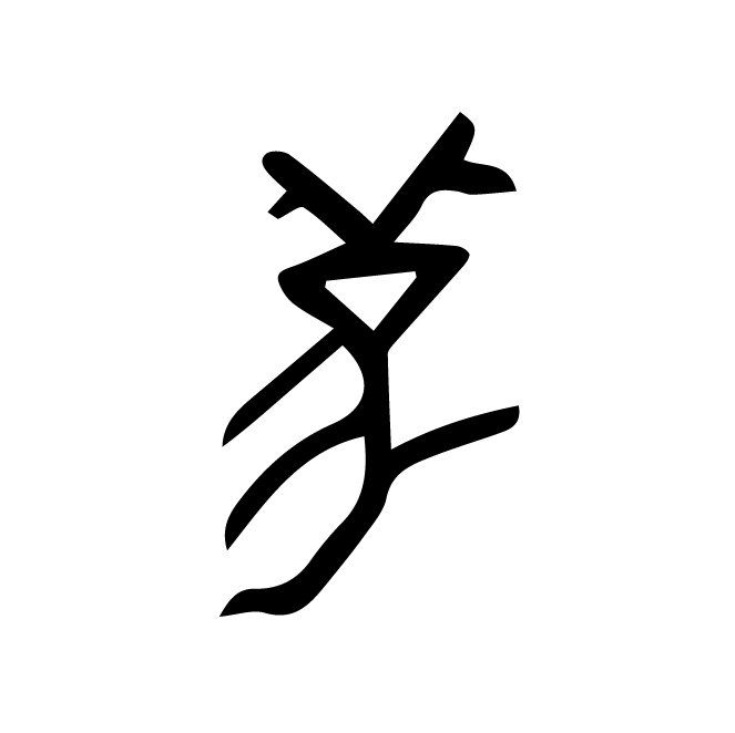 丁再献的骨刻文