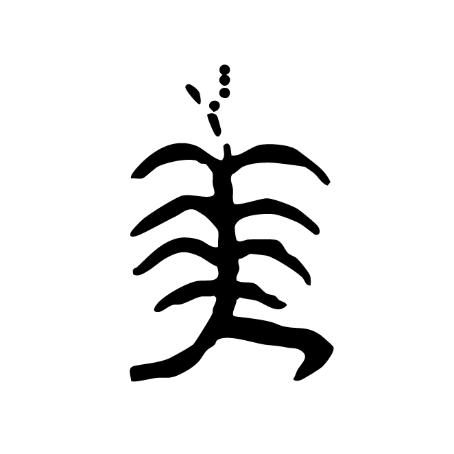 丁再献的骨刻文