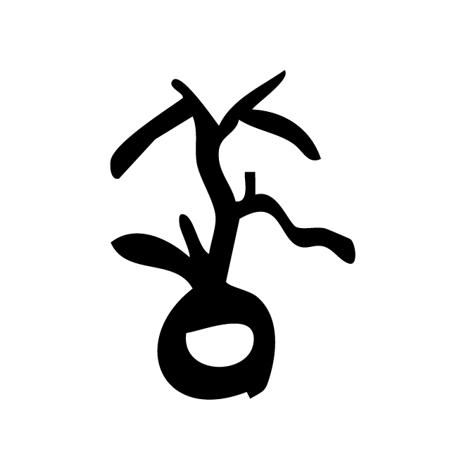 丁再献的骨刻文