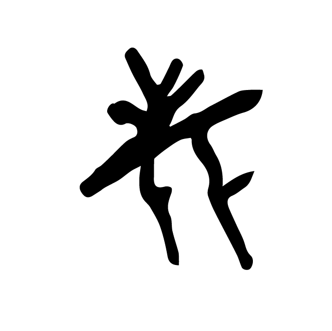 丁再献的骨刻文