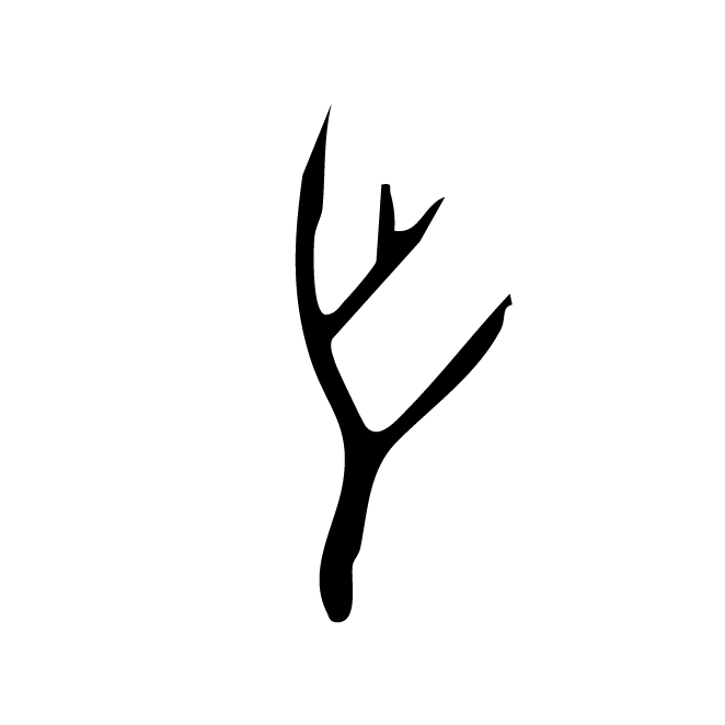 丁再献的骨刻文