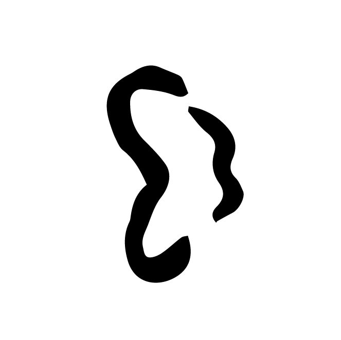 丁再献的骨刻文