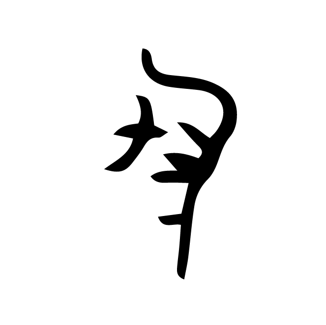 丁再献的骨刻文
