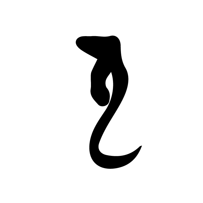 丁再献的骨刻文
