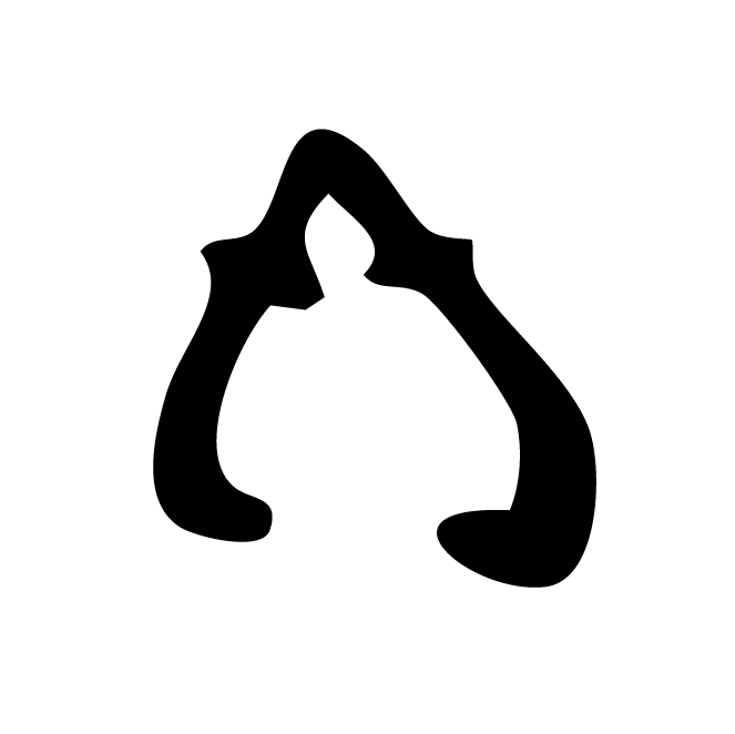 丁再献的骨刻文