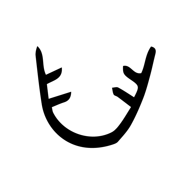 丁再献的金文