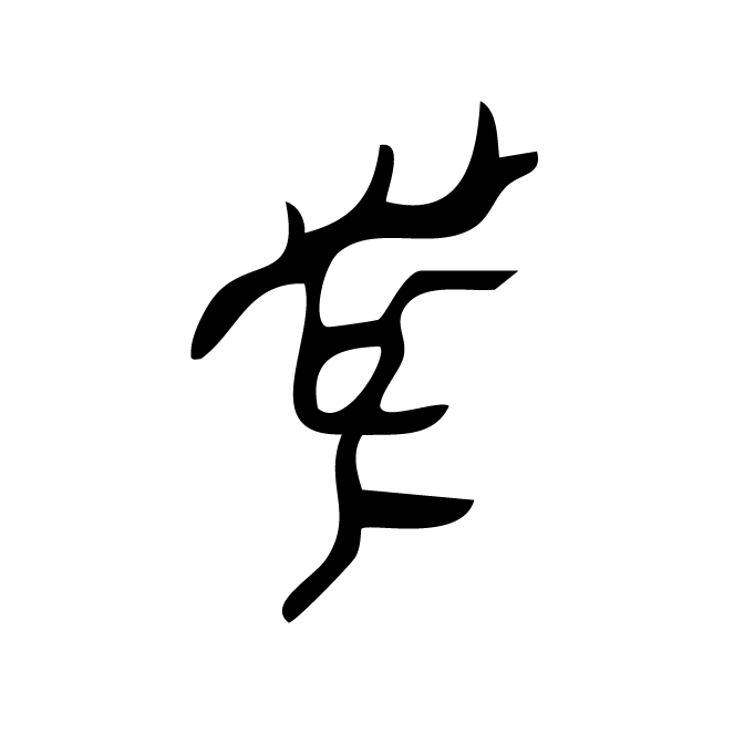 丁再献的骨刻文