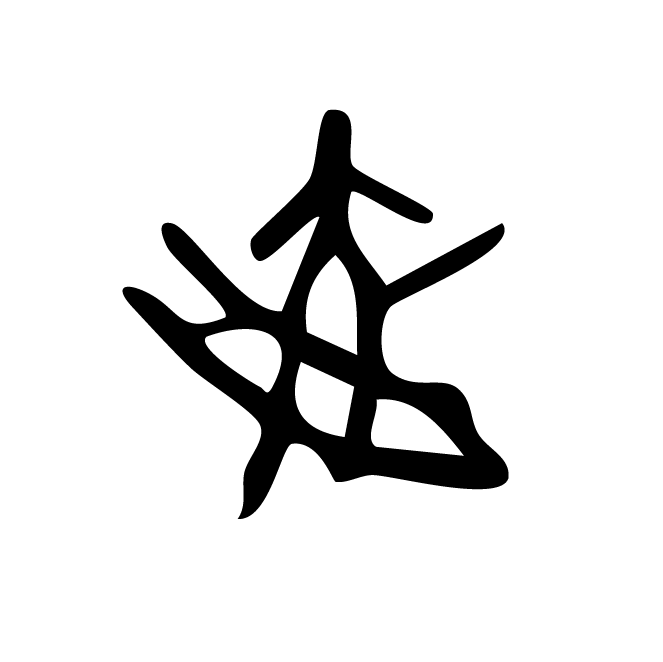丁再献的骨刻文