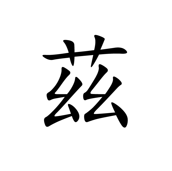 丁再献的楷书