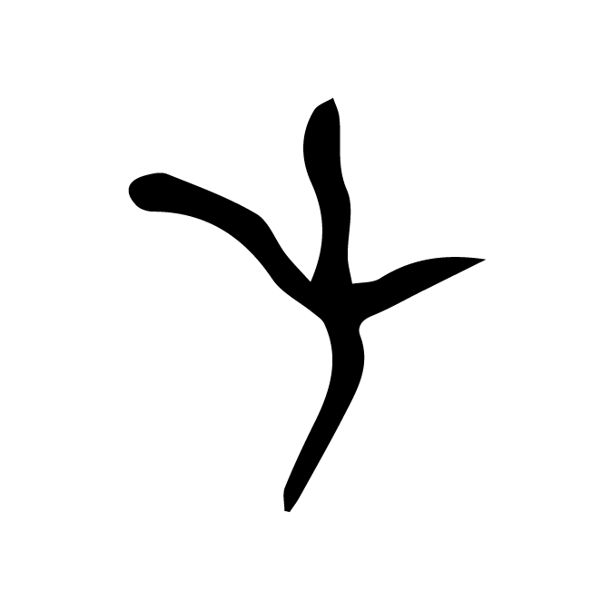 丁再献的骨刻文