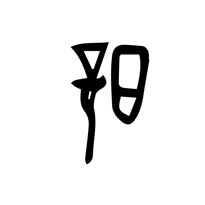 丁再献的骨刻文