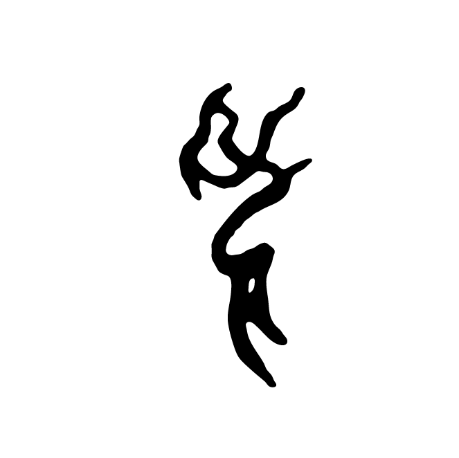 丁再献的骨刻文