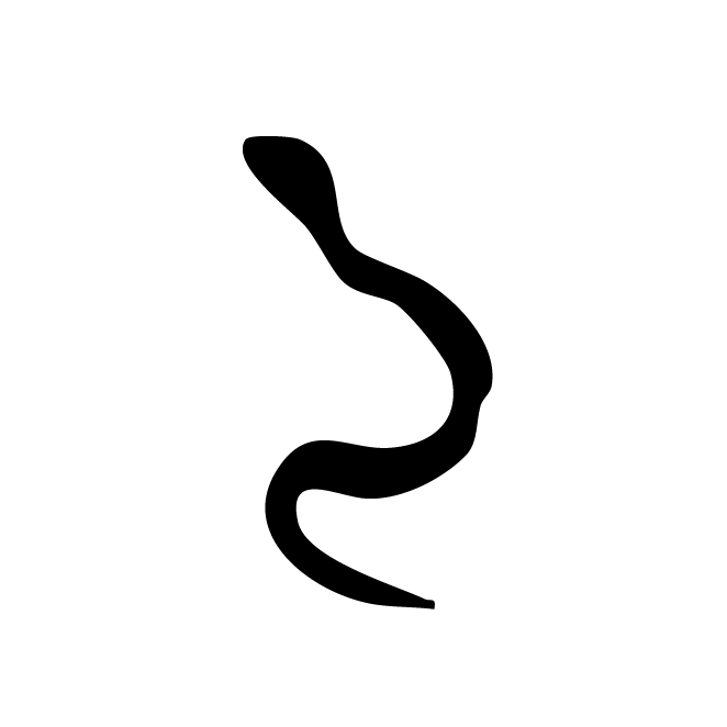 丁再献的骨刻文