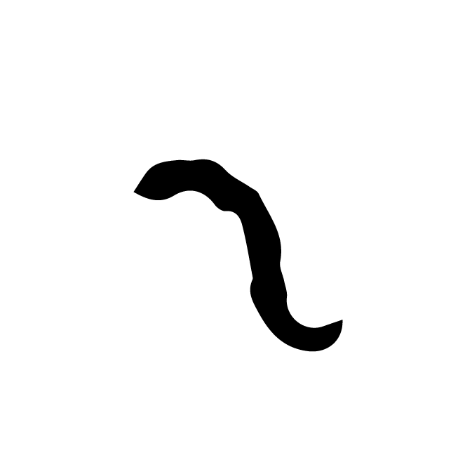 丁再献的骨刻文