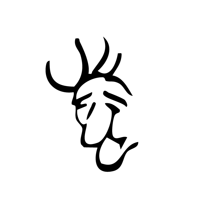 丁再献的骨刻文