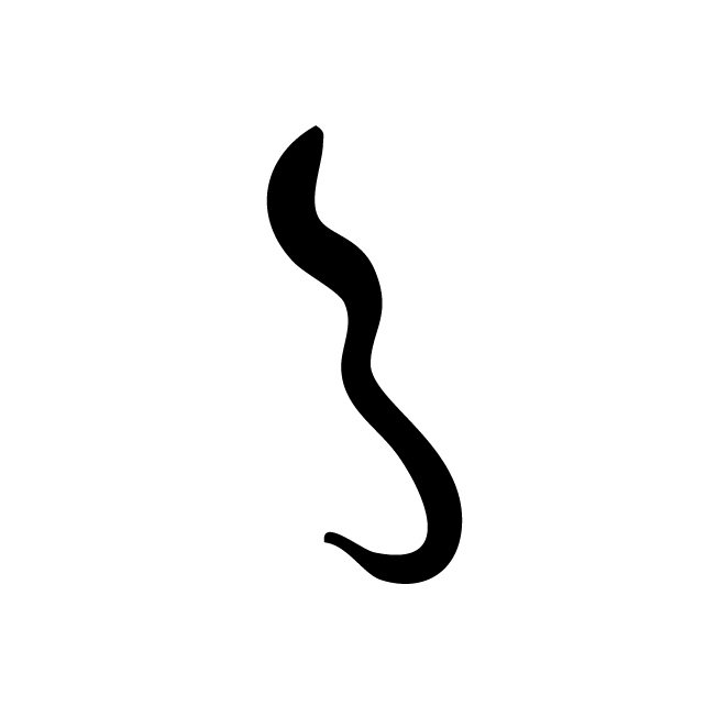 丁再献的骨刻文