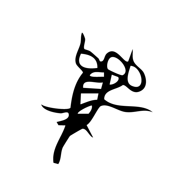 丁再献的骨刻文