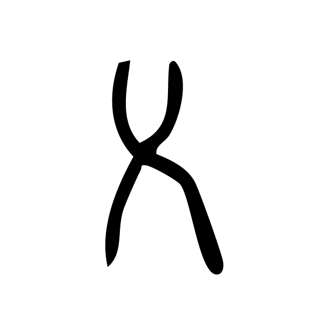 丁再献的骨刻文