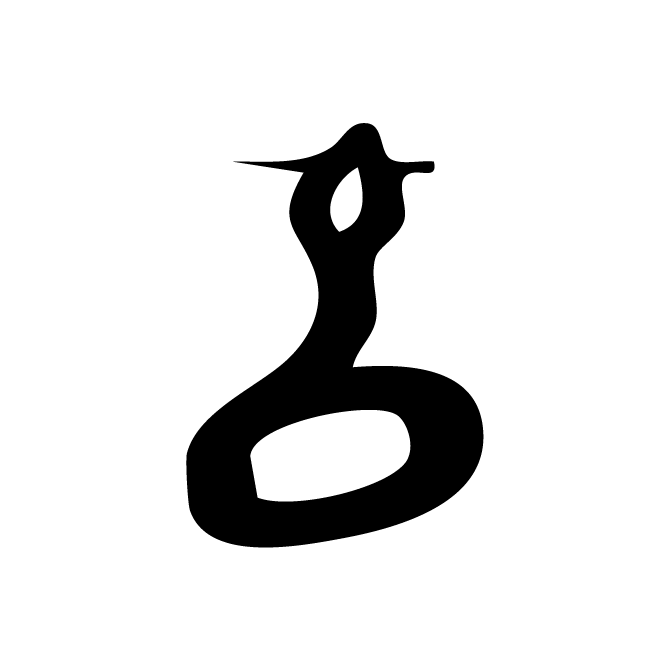丁再献的骨刻文