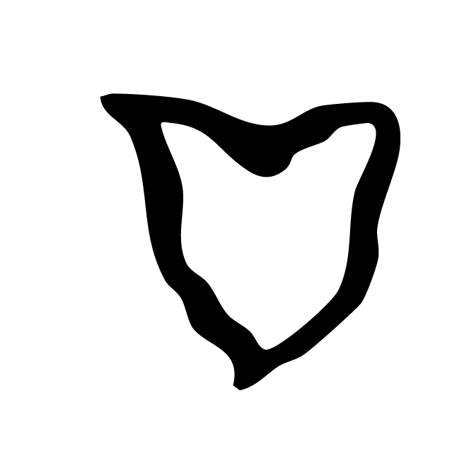 丁再献的骨刻文