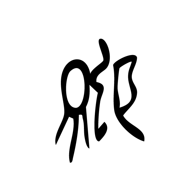 丁再献的骨刻文
