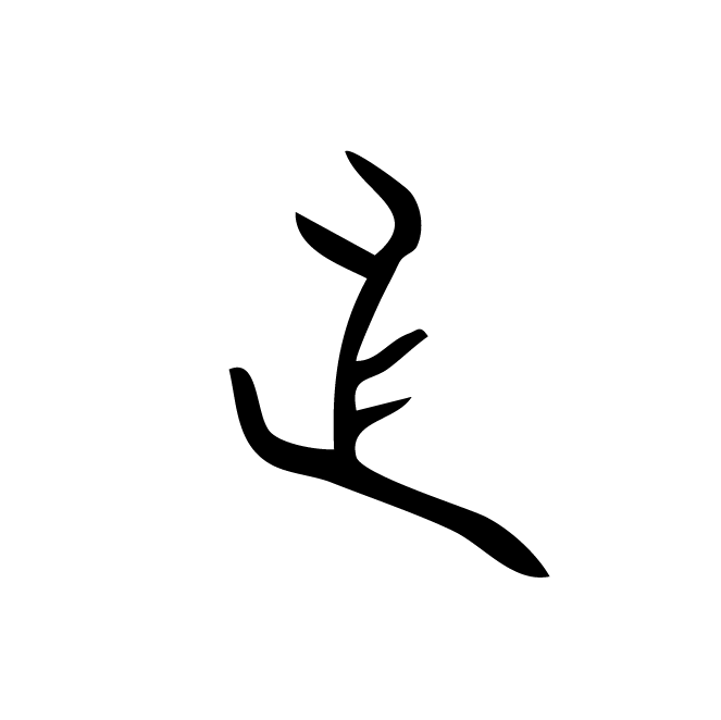 丁再献的骨刻文