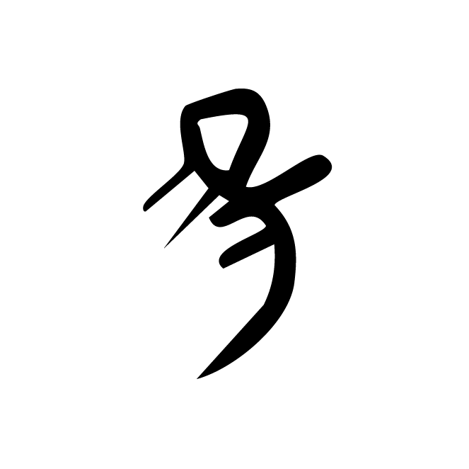 丁再献的骨刻文