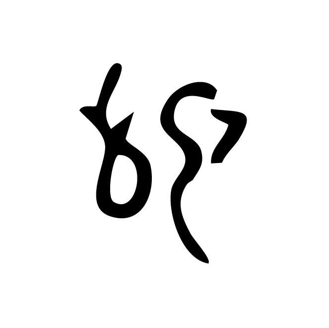 丁再献的骨刻文