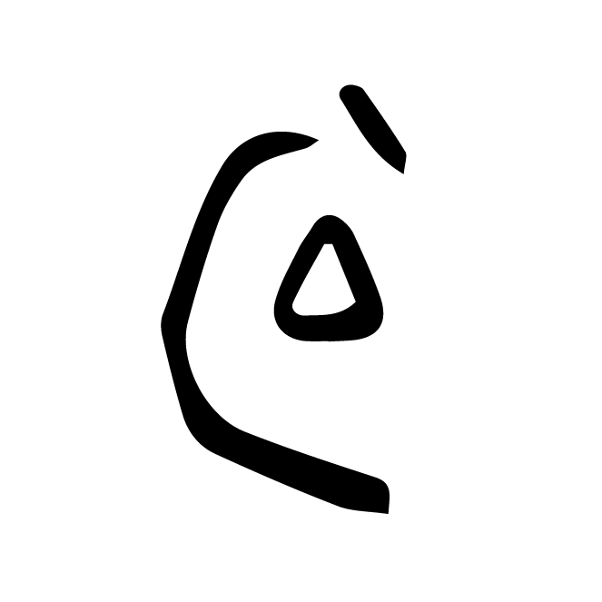 丁再献的骨刻文