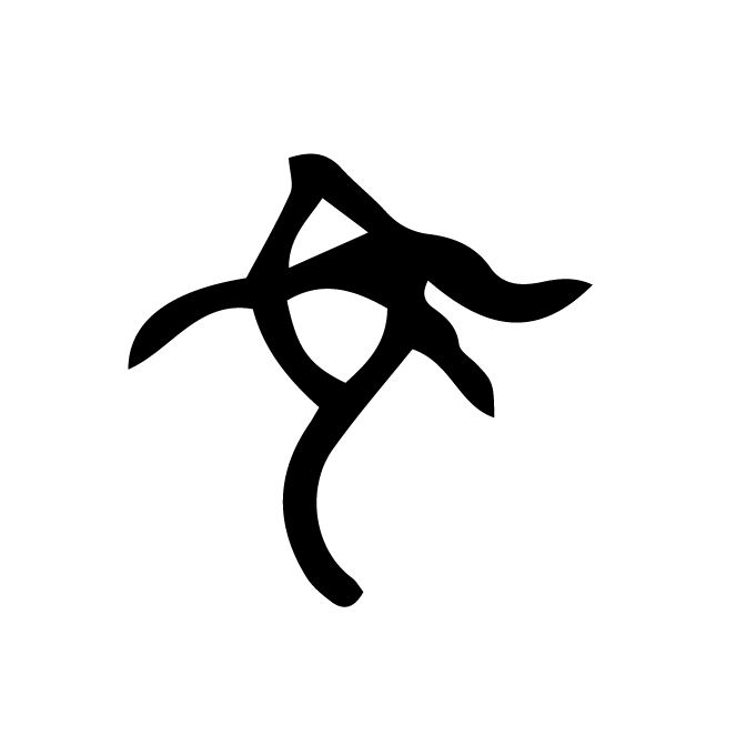丁再献的骨刻文