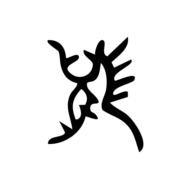 丁再献的骨刻文