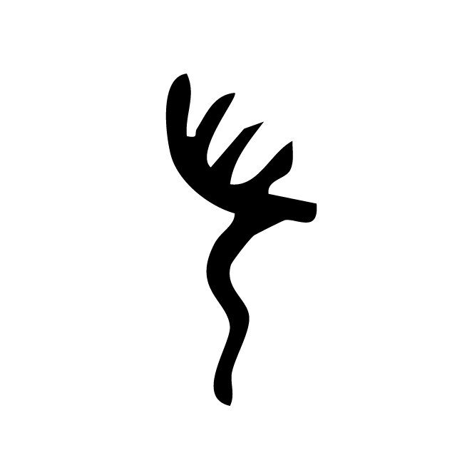 丁再献的骨刻文