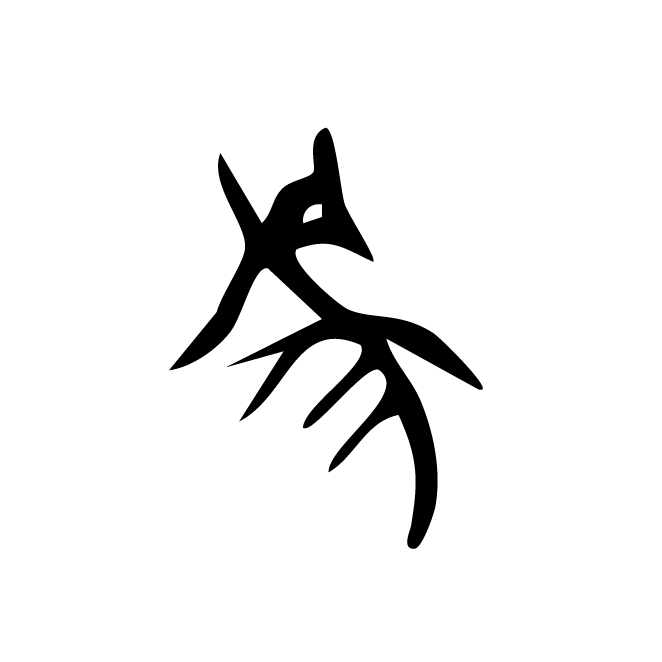 丁再献的骨刻文