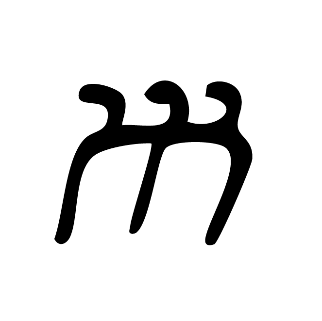 丁再献的骨刻文