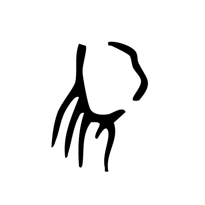 丁再献的骨刻文