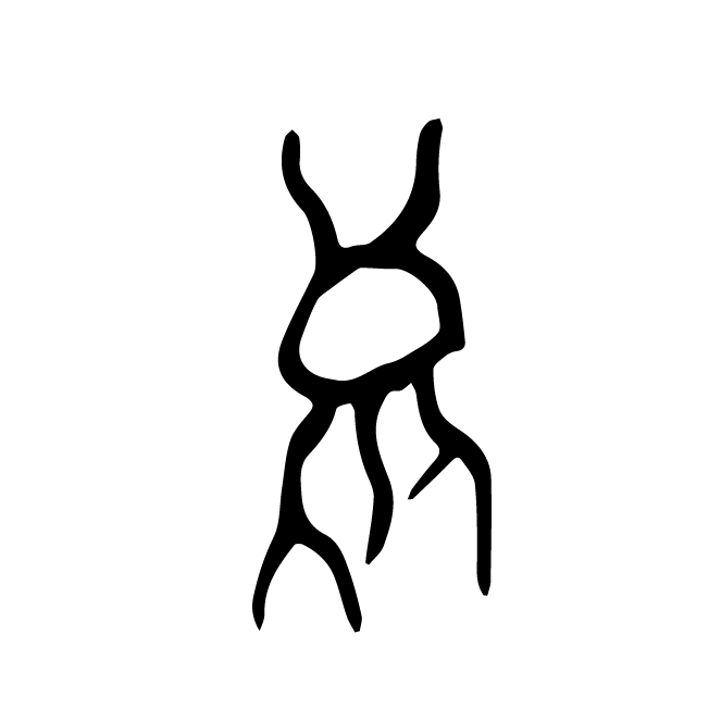 丁再献的骨刻文