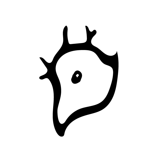 丁再献的骨刻文