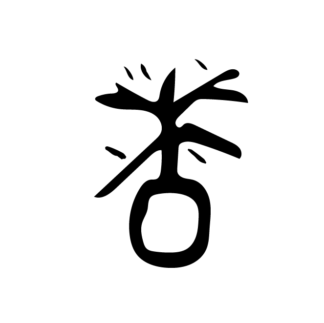 丁再献的骨刻文