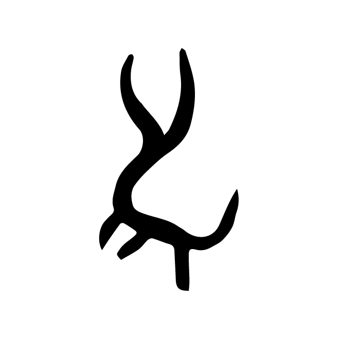 丁再献的骨刻文