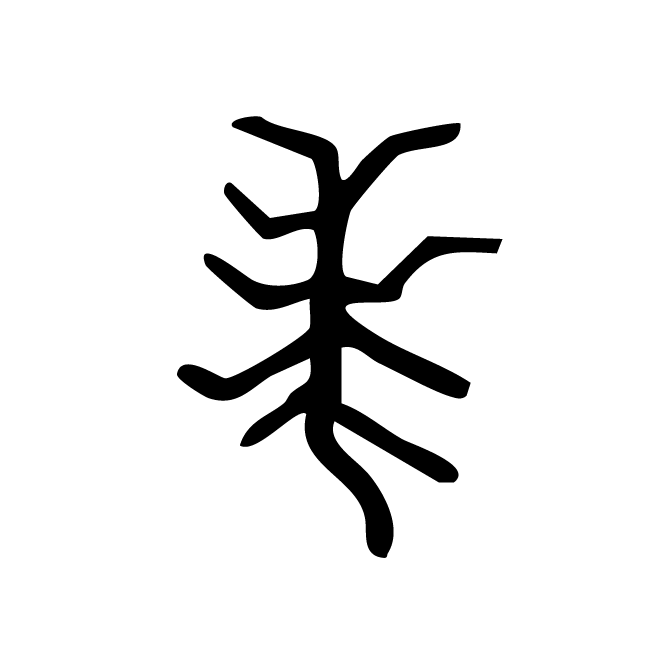 丁再献的骨刻文