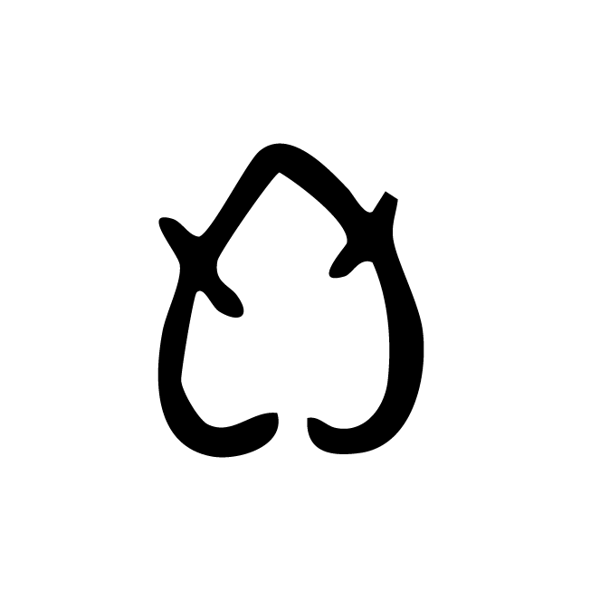丁再献的骨刻文