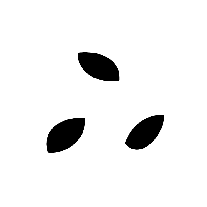 丁再献的骨刻文