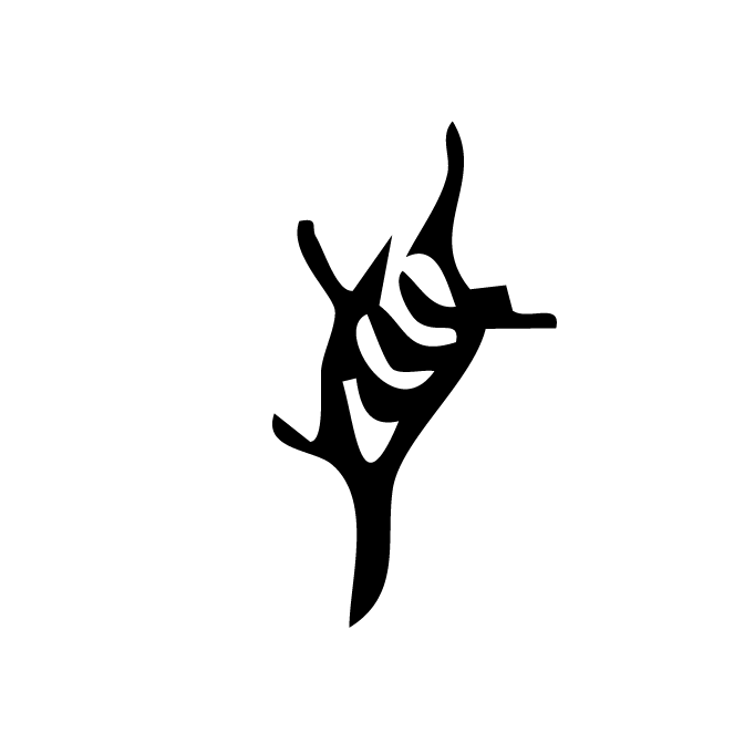 丁再献的骨刻文
